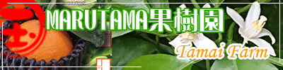 まるたま果樹園